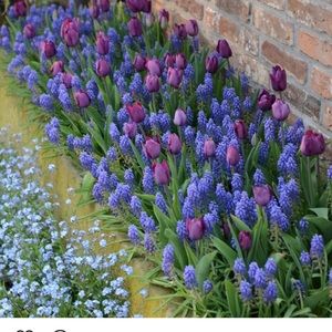 Meet your Posher, Seller